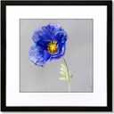 VNVNK 16x16 Frame Black, Perfect for 16x16 Inch Picture without Mat or 12x12 Inch Picture with Mat, Home Wall Decor Picture Frame-1 PCS