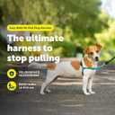 PetSafe Easy Walk No-Pull Dog Harness - Ultimate Harness to Help Stop Pulling - Pull-Free Walks - Take Control & Teach Better Leash Manners - Patented Martingale Loop Design - Teal, Small
