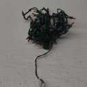 PREXTEX Christmas String Lights with Green Wire - 100 Count, 20 Ft Multicolored Christmas Tree Lights for Xmas Decorations Indoor and Outdoor - Incandescent String Light for Patios, Fences, Holidays