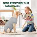 Kuoser Dog Recovery Suit for Male Dogs, Post-Surgery Bodysuit for Spay Neuter, Dog Onesie After Surgery, Anti-Licking Pet Surgical Recovery Suit (Gray L)