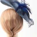DRESHOW Fascinators Hat Flower Mesh Feathers Hat with a Headband and a Clip 7.9" Tea Party Headwear for Women (Blue)