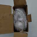 Wall Mount Landline Telephone, Desktop Wall Corded Phone with Redial No Caller ID Home Phone for Hotel Family (White)