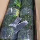 ODTORY Artificial Ivy Hedge Roll, 80"×120"(67 sqft) Greenery Backdrop
UV-Anti, Faux Grass Wall Panels, Fake Plant Privacy Fence Screen, Indoor/Outdoor, Garden Balcony Patio Decoration