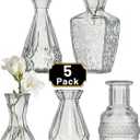Glass Bud Vase Set of 5 Pcs Small Minimalist Vases for Flowers, Vintage Rustic Home Decor for Table Centerpiece Wedding Party, Modern Clear Aromatherapy Bottle for Living Room Bedroom