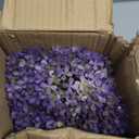 Artificial Hydrangea Flowers in Glass Vase with Faux Water, 13.8" Fake Purple Hydrangeas Arrangement Centerpiece for Home Caf Kitchen Bathroom Decoration