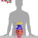 Kiddie Play Water Balloons for Kids with Filler Pump (500 Balloons)