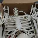 5.4Ft Halloween Skeleton Life Size Pirate Skeleton Creepy Posable Skeleton Realistic Human Full Body Skeleton with Movable Joints for Halloween Decorations (Grey, 5.4ft) (Gray)