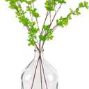 Bfttlity Clear Glass Vase Tall Farmhouse Vase for Branches Glass Vases for Centerpieces in Home Decoration (L)