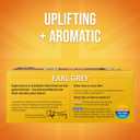 Twinings Earl Grey Black Tea Individually Wrapped Bags, 100 Count (Pack of 1), Flavoured with Citrus & Bergamot, Caffeinated, Enjoy Hot or Iced, 100 Teabags