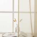 MIULEE Beige Window Valance Sheer Curtains Rod Pocket,Half Voile Drapes Extra Wide for Small Window Kitchen Cafe,One Panel 60" W x 18" L Inch