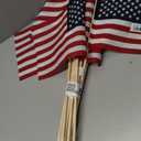 Annin Flagmakers 41294 8" x 12" USA / American Hand Flag