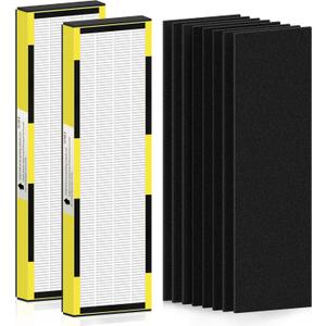 FLT4825 HEPA Filter B Replacement for Guar.dian Air Purifier AC4825 AC4300 AC4800 AC4900 AC4850, 2 HEPA Filter and 8 Pre-Filter by NISHCON