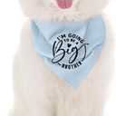 2 x Big Brother Dog Bandana, Blue Pet Dog Scarf Accessories, Pregnancy Announcement Baby Reveal, Pet Dogs Triangle Scarf, Pets Bandana for Small Medium Dogs, (Mix Colors)