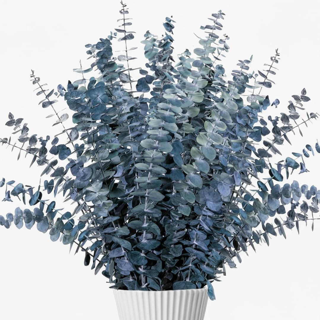 26Pcs Real Dried Eucalyptus Stems, 17" Blue-Green Preserved Eucalyptus Stems for Vase, Home Decor, Farmhouse, Dried Flowers Table Centerpiece Arrangement