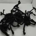 Halloween Spider Decorations, 6 Pack Giant Spider Outdoor Decorations Set, Scary Hairy Realistic Large Spider Props for Indoor, Outdoor and Yard Party Creepy Decor