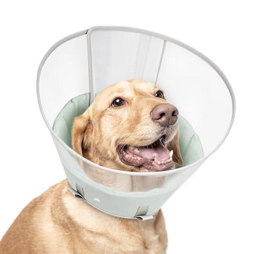 Dog Cone Collar with Snap-on Detachable Soft Liner, Lightweight Transparent Elizabethan Alternative to Stop Licking, for Spay Neuter Surgery Recovery, for Dogs (Green,S)