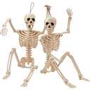 JOYIN 2 PCS 24” Halloween Skeleton Decor, 2 FT Full Body Stayable Posable Skeletons for Halloween, Yellow Human Plastic Bones with Movable Joints for Spooky Indoor Outdoor Decoration, Graveyard Prop