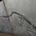 Kureful Nature Wall Decor Flowers White Pictures Art Bird Artwork Botanical Wall Art 29x58 Inch Hanging Art Wall Decorations for Office Bedroom