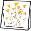 Double Glass Frame for Pressed Flowers Handmade, Tabletop Photo Frame for Floating Picture and Flower Press, Simple, Metal Geometric, Square, Black, 4x4 Inches (4L" x 4W")