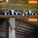 3 x European Mount Skull Hanger, Skull Wall Mount Hanger for Hanging Deer Head, Pronghorn and Other Smaller Skulls, Suitable for Indoor or Outdoor Use 3 Pack