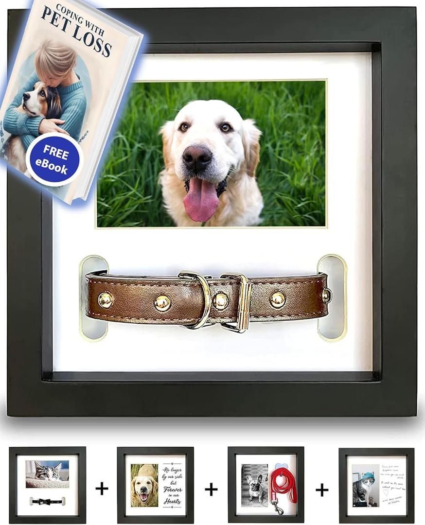 Dog Memorial Picture Frame with 5 Display Options- Dog Collar Memorial Frame Gift - Cat or Dog Pet Loss Gift for a Grieving Friend - Pet Remembrance Gift and Sympathy Photo Keepsake | 9 x 9 x 1.8 inch