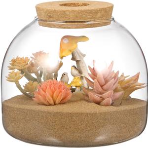 Glass Terrarium Jar with Wood Stopper for Hydroponic Plants Micro Landscape Container Fish Bowl Vase Decorative Home Office
