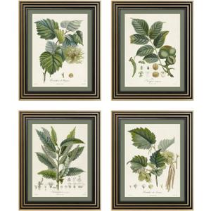 Gatheroad Vintage Botanical Wall Art Set of 4 - Sage Green Bathroom Wall Decor & French Country Kitchen Decor, 8x10 Antique Tree Branch & Leaf Pictures, Rustic Farmhouse Nature Prints (Unframed)