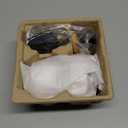 Kasa Indoor Pan/Tilt Smart Security Camera, 1080p HD Dog-Camera,2.4GHz with Night Vision, Motion Detection for Baby and Pet Monitor, Cloud & SD Card Storage, Works with Alexa& Google Home (EC70), White