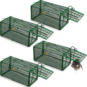 Qualirey 4 Pcs Humane Rat Trap Chipmunk Squirrel Cage Trap 4.33 x 4.33 x 9.06 Inches Foldable Rodent for Small Live Animal Voles Hamsters Catch and Release for Kitchen Yard Garage (Green)