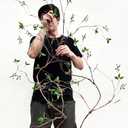 Curly Willow Branches Artificial Tree Vines with Fruits and Leaves Flexible Plant Stems Jungle Greenery Twigs Liana for Home Wedding Garden Wall Background Decor 67 inches (Green - Pack of 2)