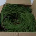 Thickened Upgraded 9 Ft Artificial Norfolk Pine Garland, Real Touch Green Faux Greenery Garland for Christmas Table, Mantle, Wall, Fireplace, Indoor Outdoor Holiday Decor