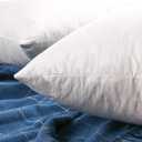 JA COMFORTS 2020 Premium Goose Down Feather Throw Pillow Inserts(Set of 2)-5% Down Filling,High Filling Weight,250 TC Cotton Cover, Square, White