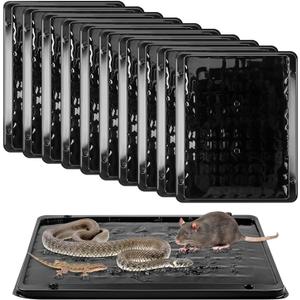 Qualirey 10 Pack Jumbo Rat & Mouse Glue Traps, 11.8 X 9.84 in Large Heavy Duty Mouse Traps Indoor for Home, Pre Scented Adhesive Plastic Tray with for Spider, Snake, Mice, Kids and Pet Safe (Black)