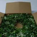 St Patricks Day Decorations Artificial Wreath Lucky Shamrock Clover Leprechaun Hat Beers Spring Summer Party Decor Outdoor/Indoor Farmhouse Front Porch Wall Window Door (Green)