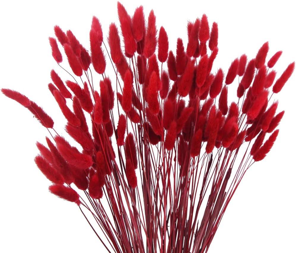 CISDUEO 120pcs Dried Bunny Tails Flowers Red Lagurus Ovatus Tail Dried Flowers Pampas Grass Natural Dried Floral Arrangement for Boho Decor Home Wedding DIY Farmhouse Table Christmas Halloween (17")