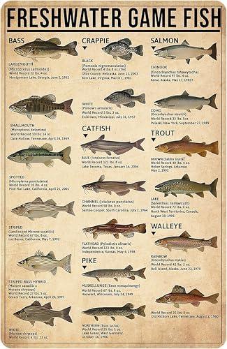 Smilelife Boy's Fishing Gifts Vintage Fresh Water Gamefish Knowledge Tin Sign for Man Cave Boys Hunting Room Bedroom Lake House Cabin Wall Art Decor 8x12 Inch (3069)