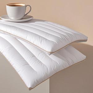 Ultra Thin Flat Pillow for Sleeping, Thin Pillow for Back Sleeper, Supportive Stomach Sleeping Pillow, Slim Bed Pillow,Machine Washable - Standard Size 18x26 Inches (Approx. 46x66 cm) - 2 Piece, White