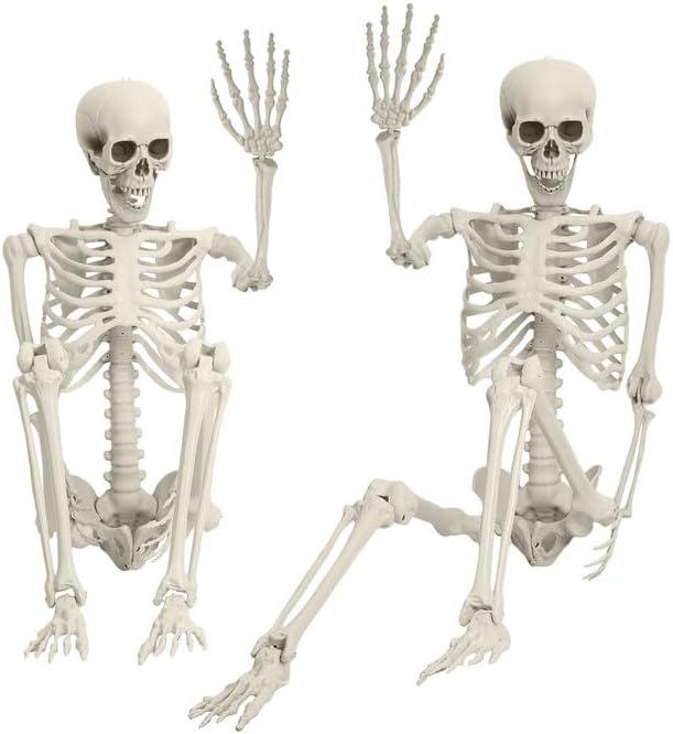 5.4Ft/170cm Posable Halloween Skeleton, Full Body Life Size Skeleton with Movable Joints for Indoor Outdoor Halloween Decorations, Spooky Party Props Decor 1Pcs