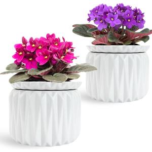 2 Pack of 6 Inch African Violet Pots Self Watering, Ceramic Planter with Water Reservoir and Fill Lines, 4 Inch Opening, Indoor Flower Pot, Holds 3 Weeks of Water