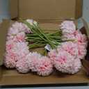 20Pcs Artificial Silk Chrysanthemum Ball Plants Fake Mums Flower Arrangements Wedding Bouquets Decor Home Kitchen Garden Party Table Floral DIY (Light Pink&Dark Pink)