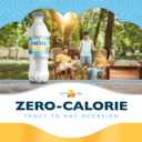 2 x Fresca Citrus Soda Soft Drink, 16.9 fl oz Bottles, 6 Pack