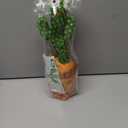 Dancing Talking Cactus Baby Toy, Mimicking & Repeating with Singing, Dancing and Recording, Volume Adjustable, Easter Basket Stuffers for Infants Toddlers Boys and Girls