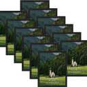 HORLIMER 8x10 Picture Frame Set of 12, Black Picture Frames Display 8 by 10 Photo for Wall or Tabletop