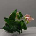 16.1'' Artificial Potted Flowers Anthurium Artificial Plant Bonsai Fake Tropical Greenery Plant,for Indoor Outside Home Garden Office Deck Porch Wedding Decorations,Pink