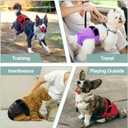 Female Dog Diapers - Reusable Diapers for Doggie in Heat - Highly Absorbent for Pet Incontinence with Adjustable Snaps (Pack of 3) Red, M (Red,Black&Purple)