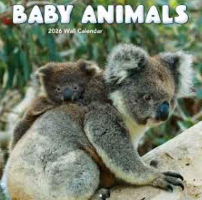 TURNER PHOTOGRAPHIC Baby Animals 12x12 Photo Wall Calendar (26998940006)