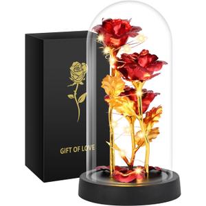 Mothers Day Mom Gifts for Women, Womens Gift for Birthday Gifts for Women Mom Wife Girlfriend, Light Up Rose in A Glass Dome, Rose Gifts for Valentines, Mothers Day, Womens Day (Red)