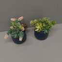 Artificial Succulent in Ceramic Pots, 2 Packs Large Faux Fake Plants Navy Blue for Desk,Office, Bedroom, Living Room, Bathroom Office Shelf Home Dcor