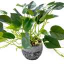 AlphaAcc Artificial Plants Potted Real Looking Small Faux Plant with Rustic Black Cement Planter for Kitchen Office Desk Bookshelf Decor (Ivy Plant)