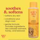 Burt's Bees for Pets Oatmeal Dog Shampoo with Honey, Soothing Formula for Itchy and Sensitive Dog Skin, Colloidal Oat Flour and Honey, pH Balanced, Sulfate-Free, 16 Fl Oz